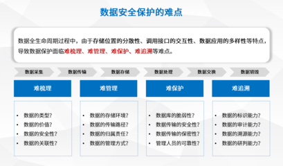 數據流轉新守護 盛邦安全發(fā)布全生命周期安全服務